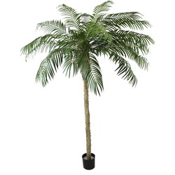 Kunstpalm Phoenix De Luxe 250 cm | NeverLeafs