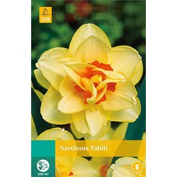 5 stuks - Narcissus Tahiti 4 bollen