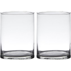 Set van 2x stuks transparante home-basics cylinder vorm vaas/vazen van glas 20 x 12 cm - Vazen