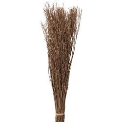 Clayre & Eef Droogbloemen Beige Droogbloemen