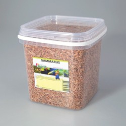 Gammarus 8 mm 2.5 liter