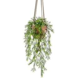 Bellatio flowers & plants Kunstplant - varen - groen - 75 cm - in terracotta hangpot - Kunstplanten