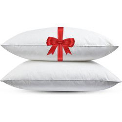 Fabiola Dormi - Medium Veren hoofdkussen - Set van 2 stuks - DownPass gecertificeerde  Eendenveren - Ergonomisch - 60x70cm