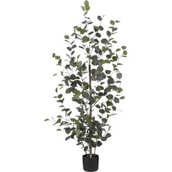 Mica Decorations Eucalyptus Kunstplant in Bloempot - H150 x Ø30 cm - Groen 