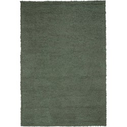 Light & Living - Vloerkleed HUMADA - 300x200x0.5cm - Groen