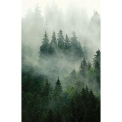 Sanders & Sanders fotobehang berglandschap met bomen groen - 1,5 x 2,7 m - 601216