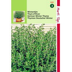 2 stuks - Tijm, Echte Winter Thymus Vulgaris