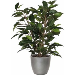 Groene ficus kunstplant 40 cm met plantenpot zilver metallic D13.5 en H12.5 cm - Kunstplanten