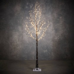 Luca Lighting Boom 600LED Kerstverlichting - 100x180 cm - Klassiek Wit