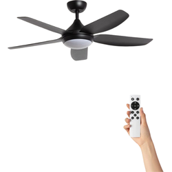 Plafondventilator Aksel met verlichting - Ø122cm - 6 snelheden - Afstandsbediening - Zwart