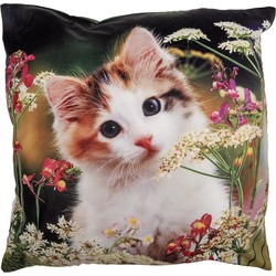Clayre & Eef Kussenhoes 45x45 cm Groen Beige Polyester Kat Sierkussenhoes