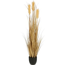 Mica Decorations Kunstplant Plume grass - 30x30x120 cm - PVC - Goud