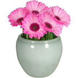 Floran Plantenpot - misty groen - glans - keramiek - 14 x 11 cm - Plantenpotten