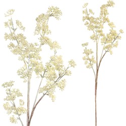 PTMD Twig Plant Knop Kunsttak - 43 x 16 x 83 cm - Crème