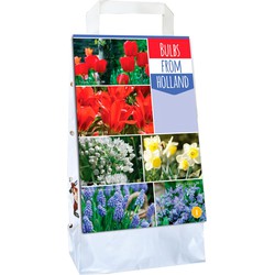 2 stuks - Tas Bulbs from Holland 100 bollen