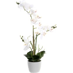 Items Orchidee bloemen kunstplant in witte bloempot - witte bloemen - H60 cm - Kunstplanten