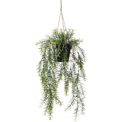 Hangplant met pot 3 - Driesprong Collection