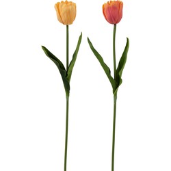 Tulp | Kunststof | Fuchsia | 8x5x (h)52 Cm