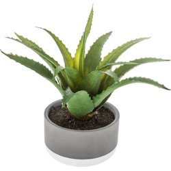 Atmosphera vetplant kunstplant in pot van cement 22 cm - Kunstplanten