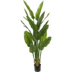 PrettyPlants Strelitzia kunstplant 2 - Nepplanten - Home Decor - Kunstplanten Binnen - Groot Formaat - 180 cm