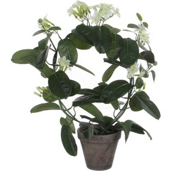 Mica Decorations Stephanotis Kunstplant - H50 x Ø40 cm - Terracotta