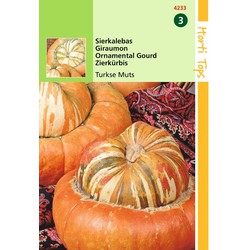 2 stuks - Cucurbita Turbaniformis Turkse Muts