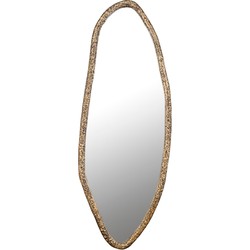 PTMD Spiegel Paislie - 56x3x150 cm - Messing - Messing