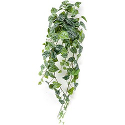 Kunstplant scindapsus pictus 90cm green/grey - Emerald