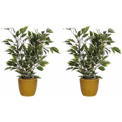 2x stuks groen/witte ficus kunstplant 40 cm met plantenpot okergeel D13.5 en H12.5 cm - Kunstplanten