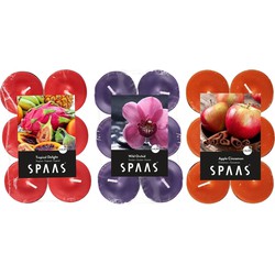 Candles by Spaas geurkaarsen - 36x stuks in 3 geuren - Maxi theelichtjes van 4.5 branduren - geurkaarsen