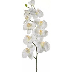 Kunstbloem - Orchidee - op tak - 100 cm - wit - sier - decoratie bloemen - Kunstbloemen