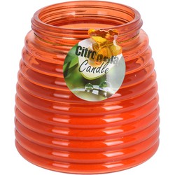 Windlicht geurkaars - 2x - oranje glas - 48 branduren - citrusgeur - geurkaarsen