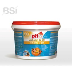 Ph up Pulver 2,5 kg Poolpflege - BSI
