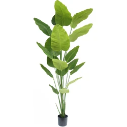 Hoyz Greenery - Kunstplant Strelitzia 240 cm real touch