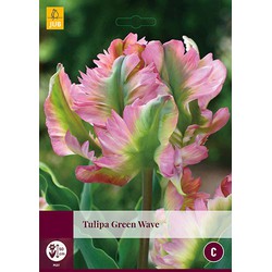 3 stuks - Tulipa Green Wave 4 bollen