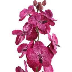 PTMD Orchidee Kunstbloem - 78 x 17 x 79 cm  - Kunststof - Paars