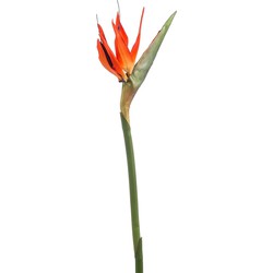 Emerald Kunstbloem Strelitzia - 85 cm - losse tak - kunst zijdebloem - Paradijsvogelplant - Kunsttakken