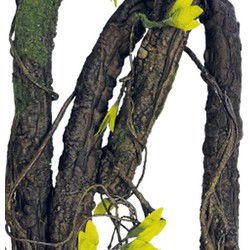 Repto Aquadistri plant climbing 190 cm