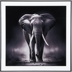 Wanddecoratie Elephant - Zwart - 2x50x50cm