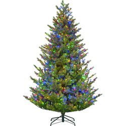 Black Box Kunstkerstboom Clive - 168x168x270 cm - PVC/Polyethyleen - Groen - 900LED