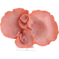 Light & Living - Ornament CORAL - 33x14x23.5cm - Roze