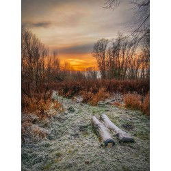 Tuinschilderij winter sunset 130x70