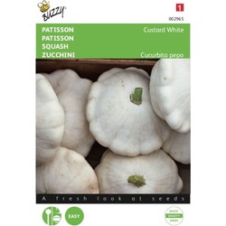 5 stuks - Patisson Custard White