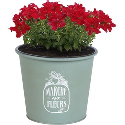 Sunnydays /plantenpot - zink - jadegroen - D19 x H16 cm - IJzeren emmer / teil