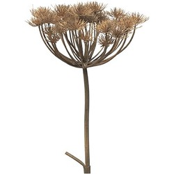 Heracleum grey/brown 98 cm kunstbloem