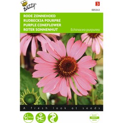 2 stuks - Echinacea purpurea roodbloeiend