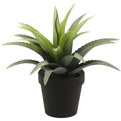 Emerald Kunstplant Agave Bush - groen met stekels - in zwarte pot - 18 cm - Kunstplanten