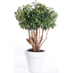 Groene kunstplant ficus 70 cm plant in pot - Kunstplanten