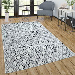 Laagpolig Modern Vloerkleed Sinovo - Grijs - 120x170 cm
