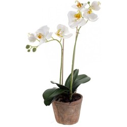 Witte vlinderorchidee kunstplanten in pot 42 cm - Kunstplanten